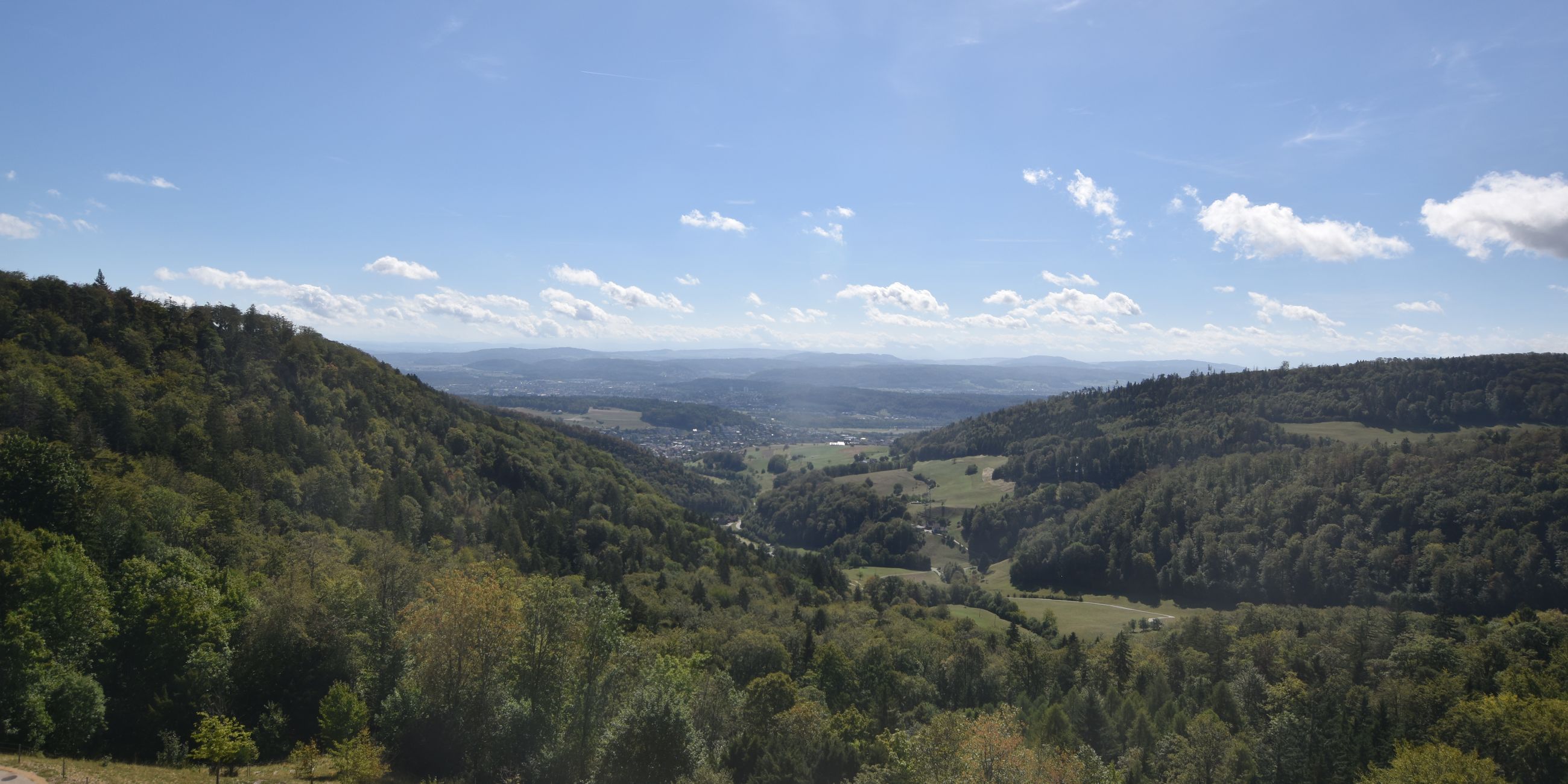 Erlinsbach › Süden: Barmelweid