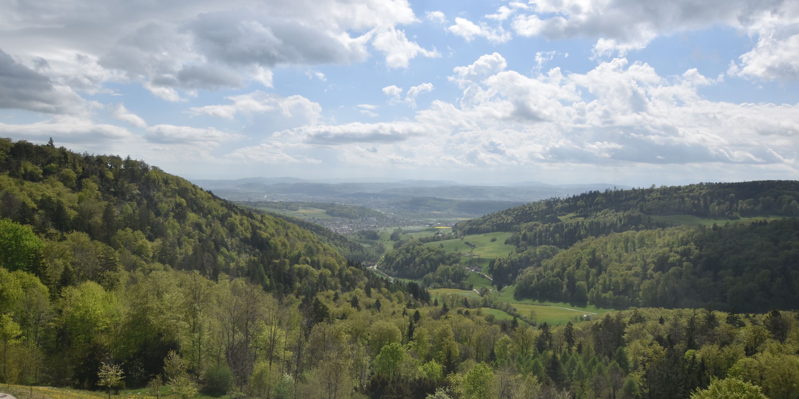 Erlinsbach › Süden: Barmelweid
