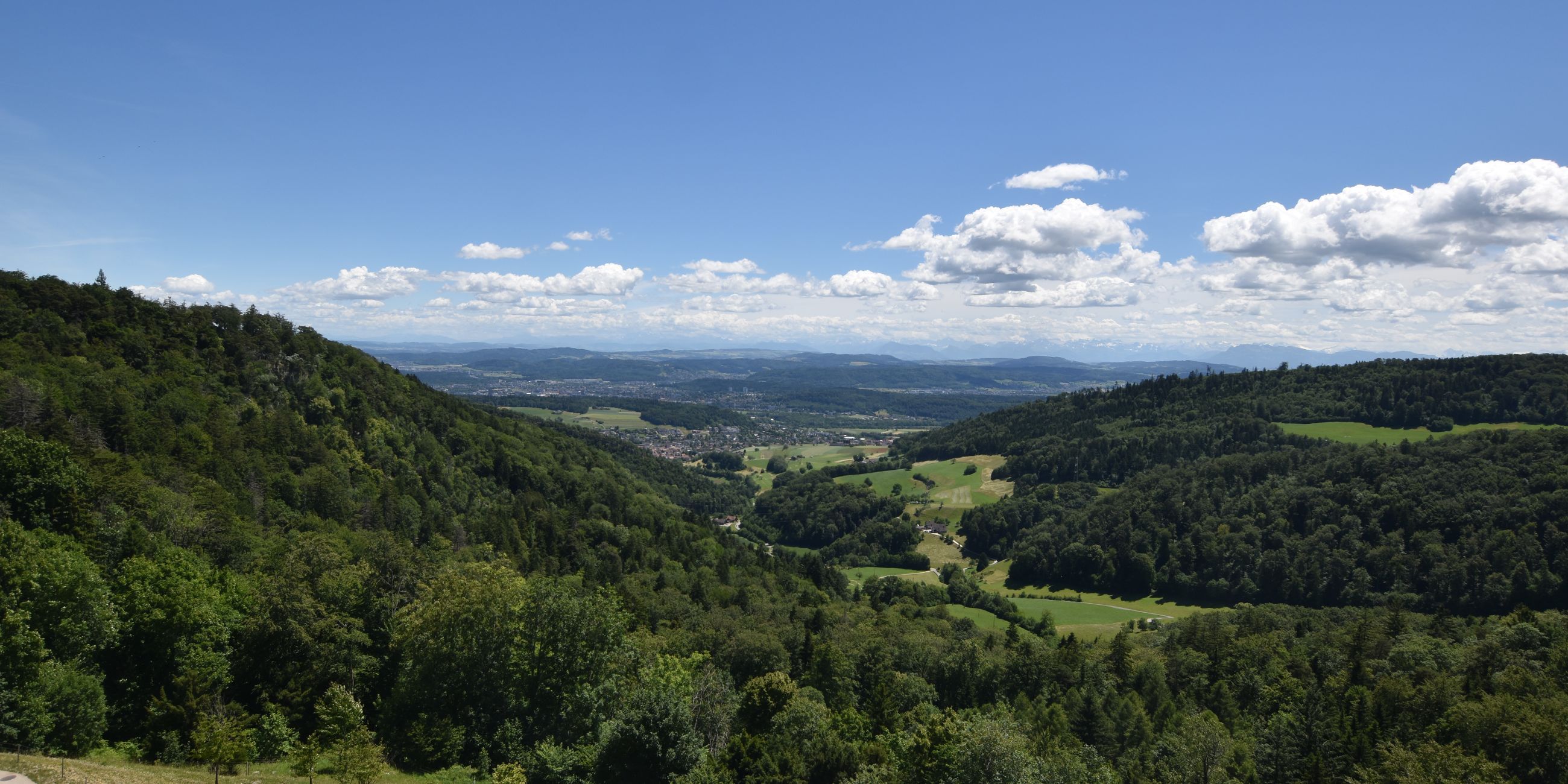 Erlinsbach › Süden: Barmelweid