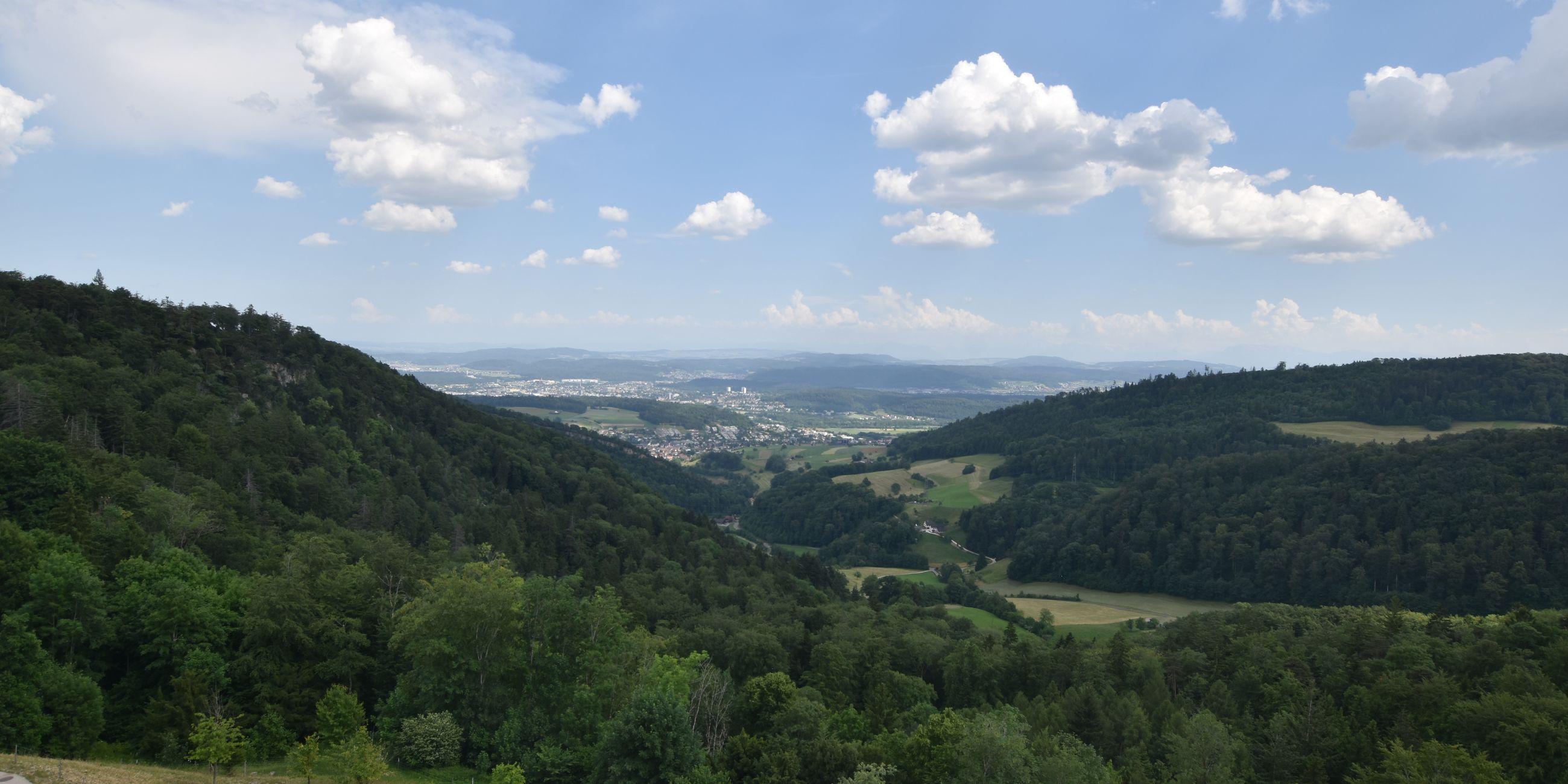 Erlinsbach › Süden: Barmelweid