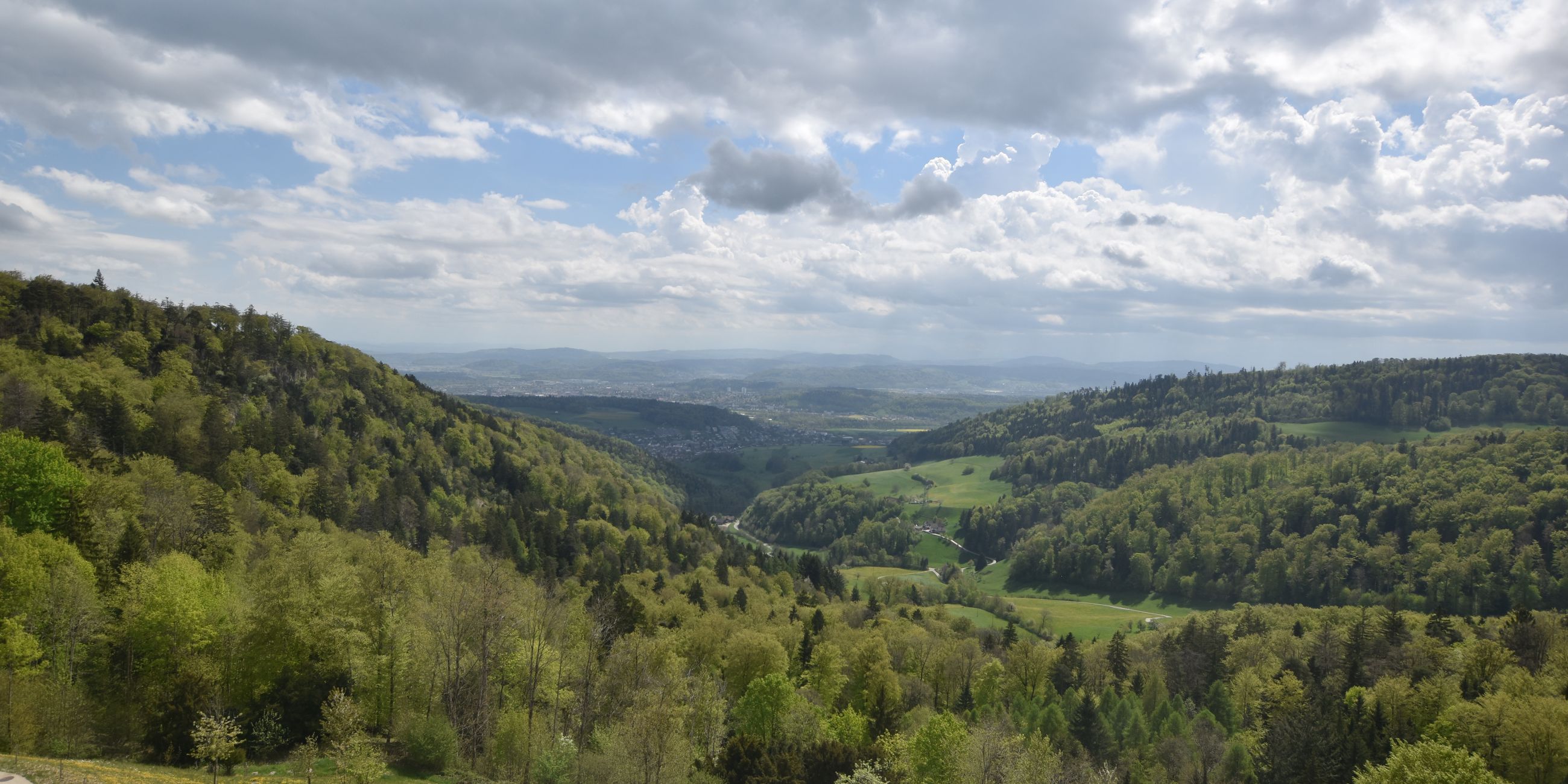 Erlinsbach › Süden: Barmelweid