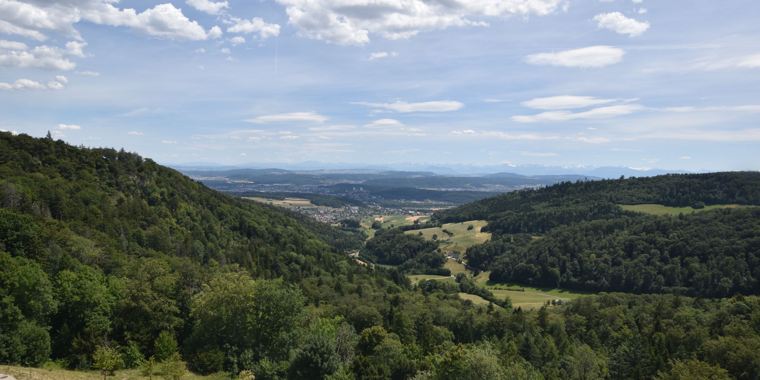 Erlinsbach › Süden: Barmelweid
