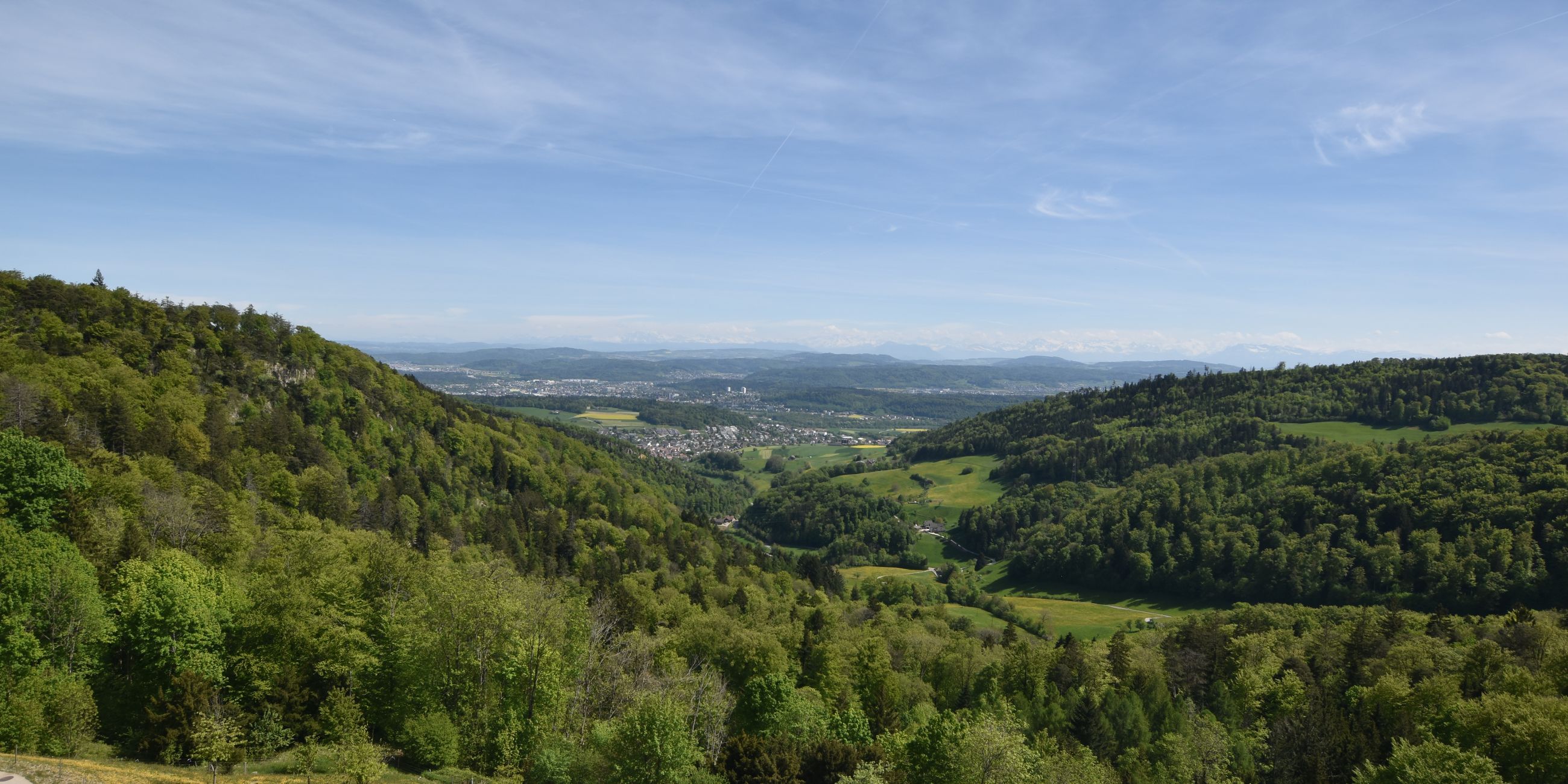 Erlinsbach › Süden: Barmelweid