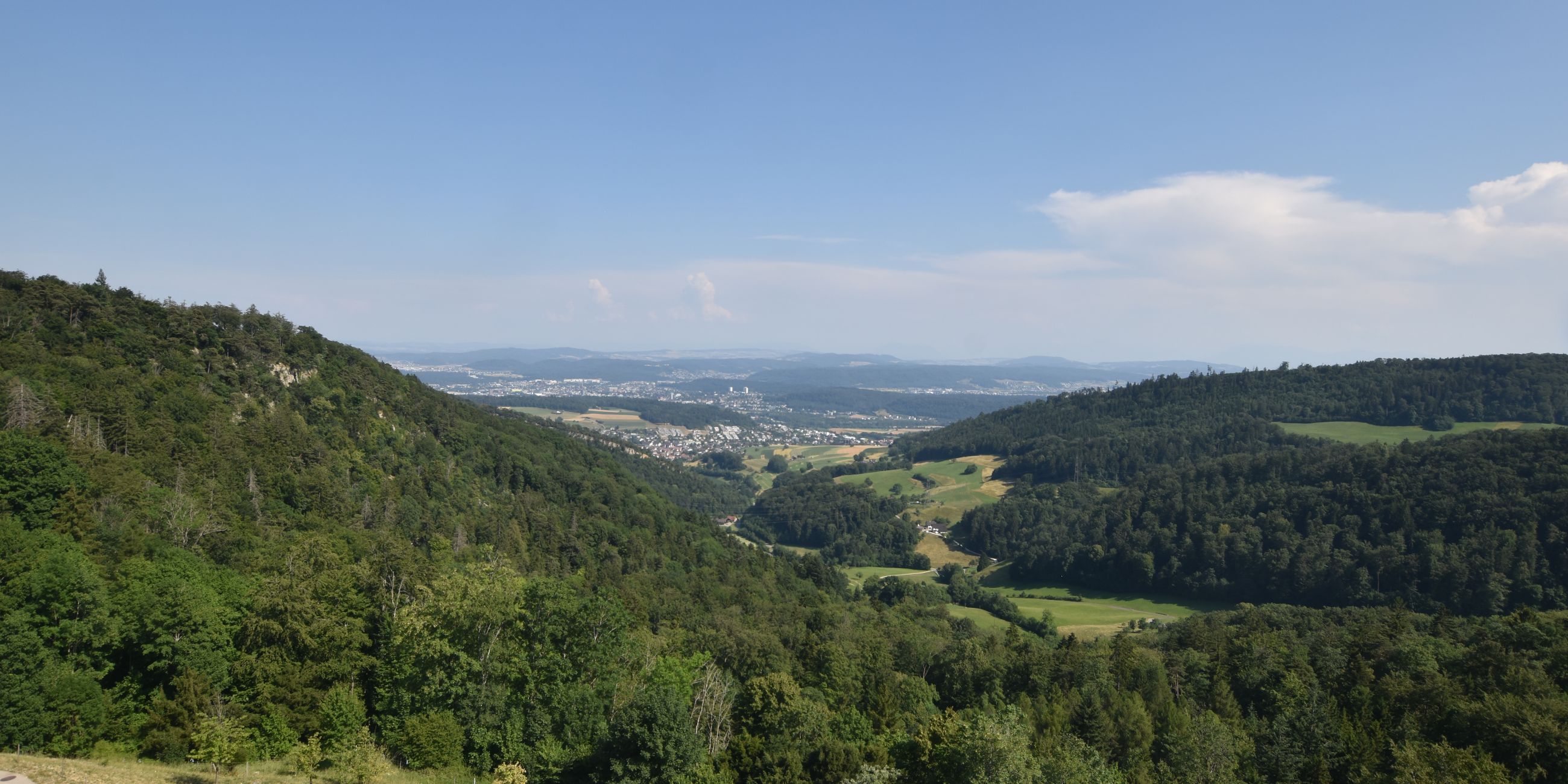 Erlinsbach › Süden: Barmelweid