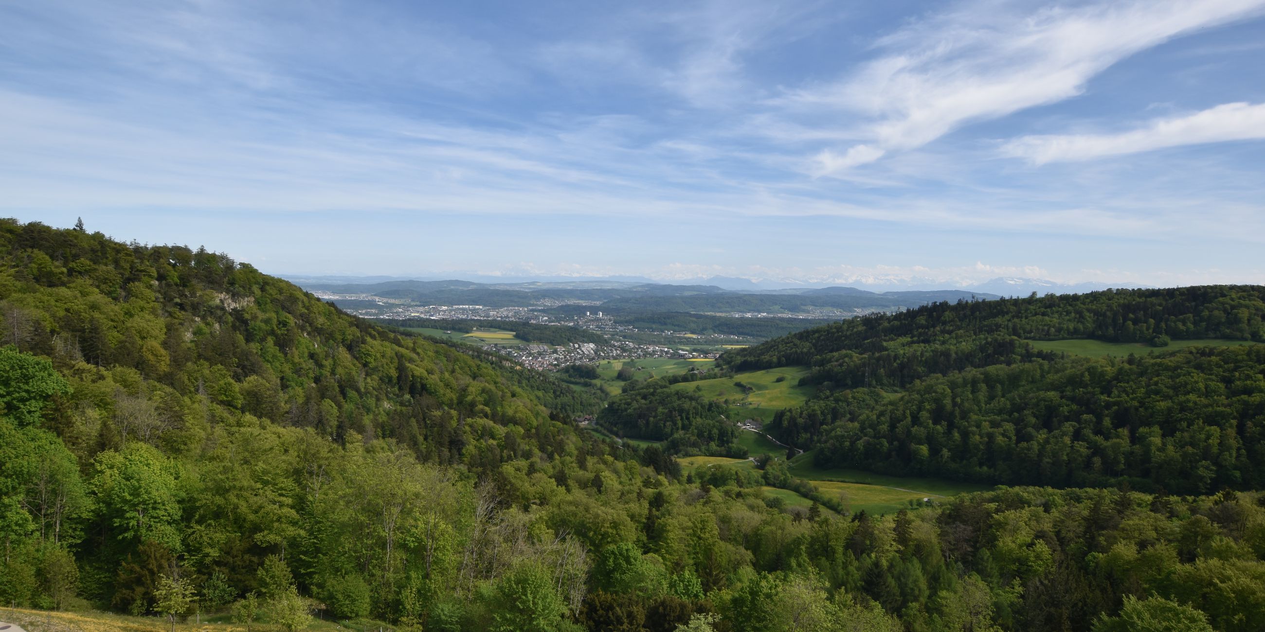 Erlinsbach › Süden: Barmelweid