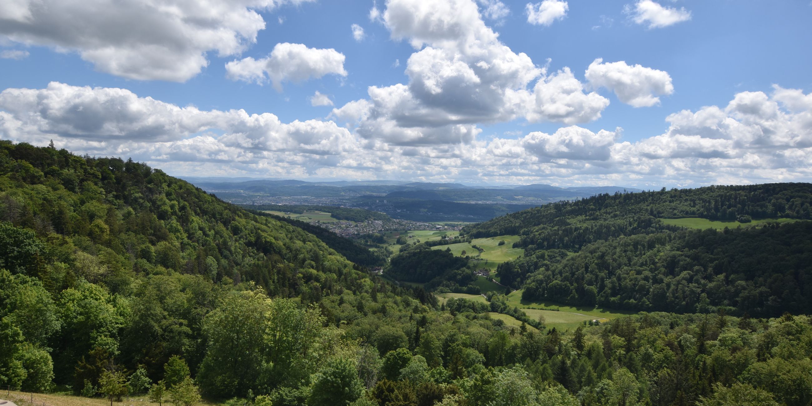 Erlinsbach › Süden: Barmelweid
