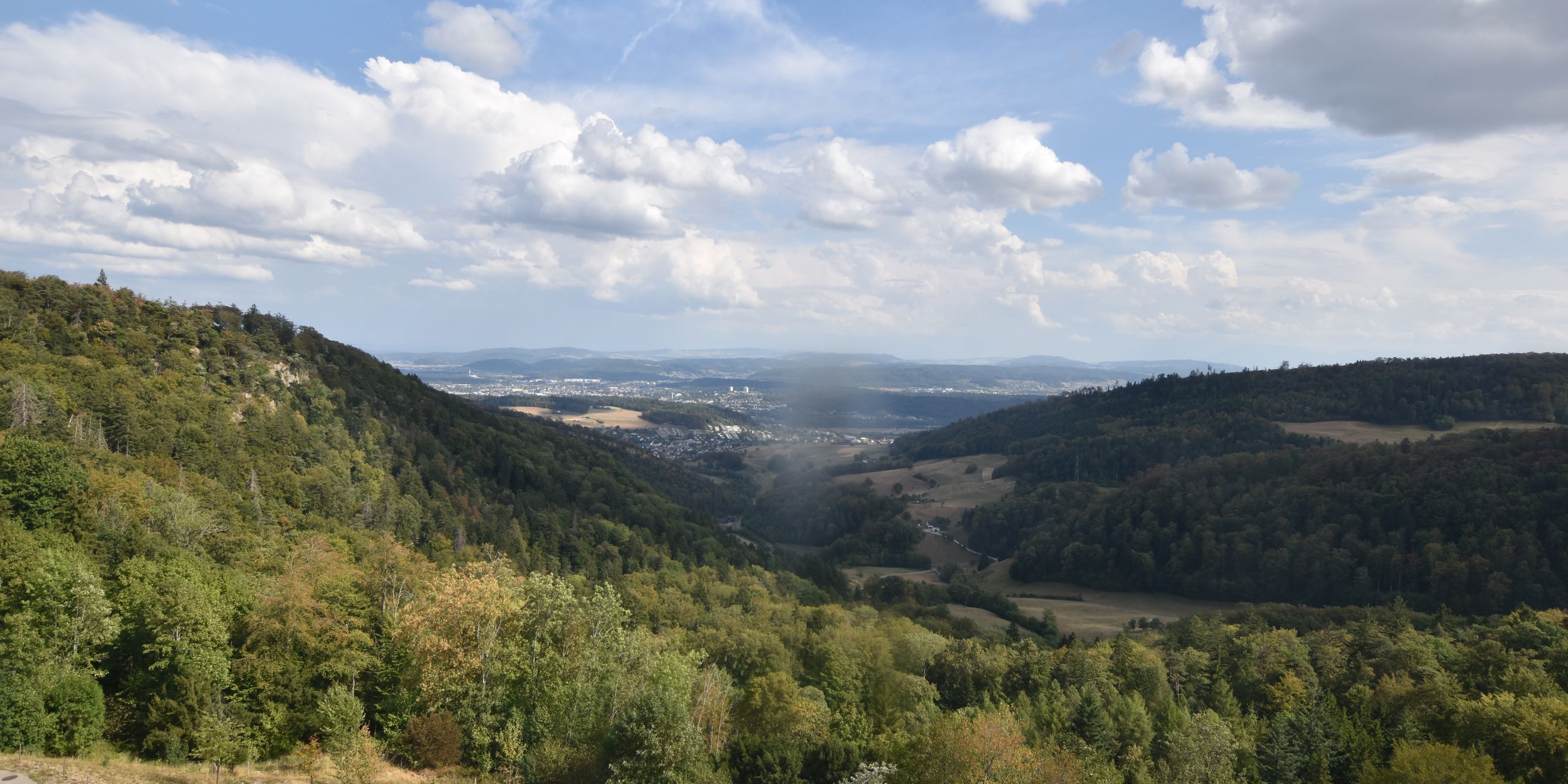 Erlinsbach › Süden: Barmelweid