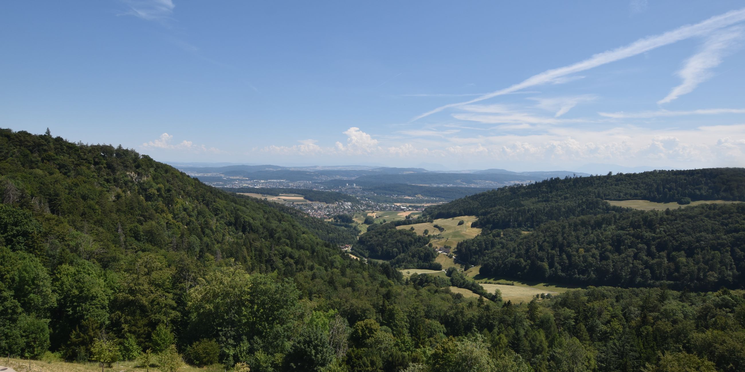 Erlinsbach › Süden: Barmelweid