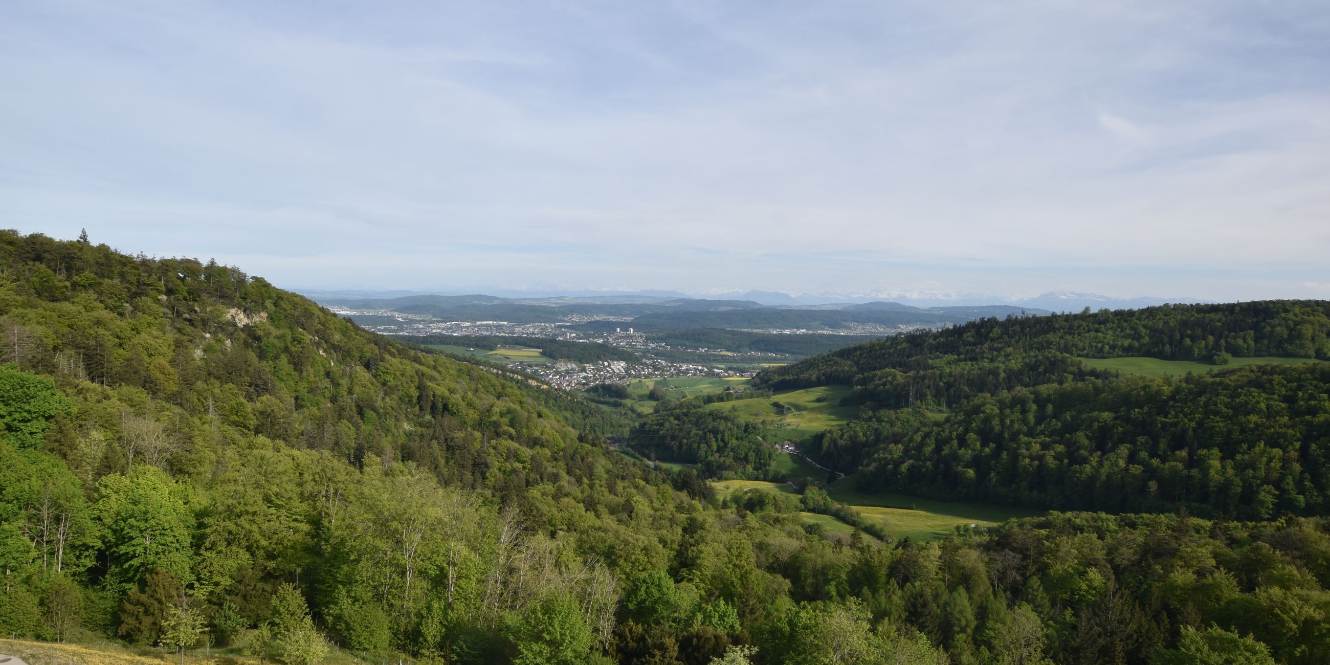 Erlinsbach › Süden: Barmelweid