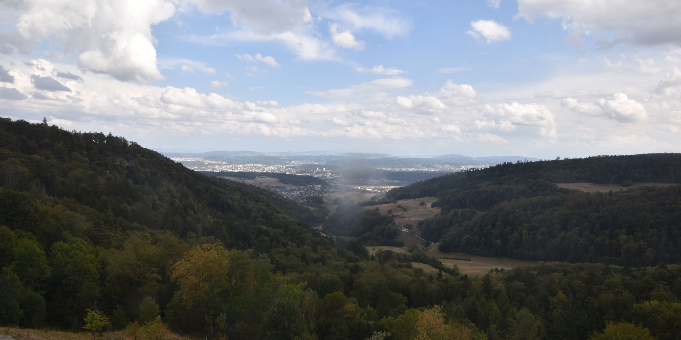 Erlinsbach › Süden: Barmelweid