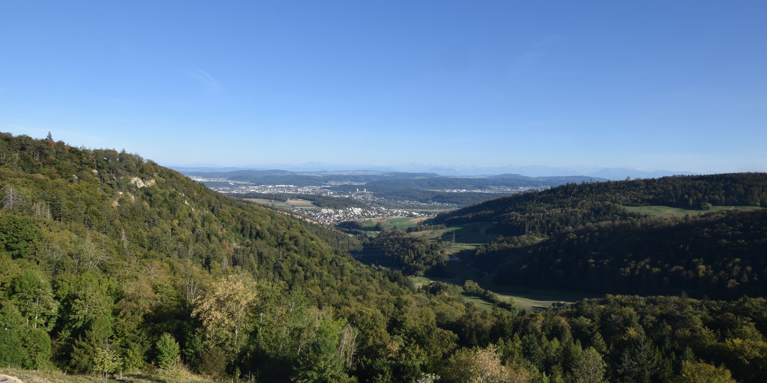 Erlinsbach › Süden: Barmelweid