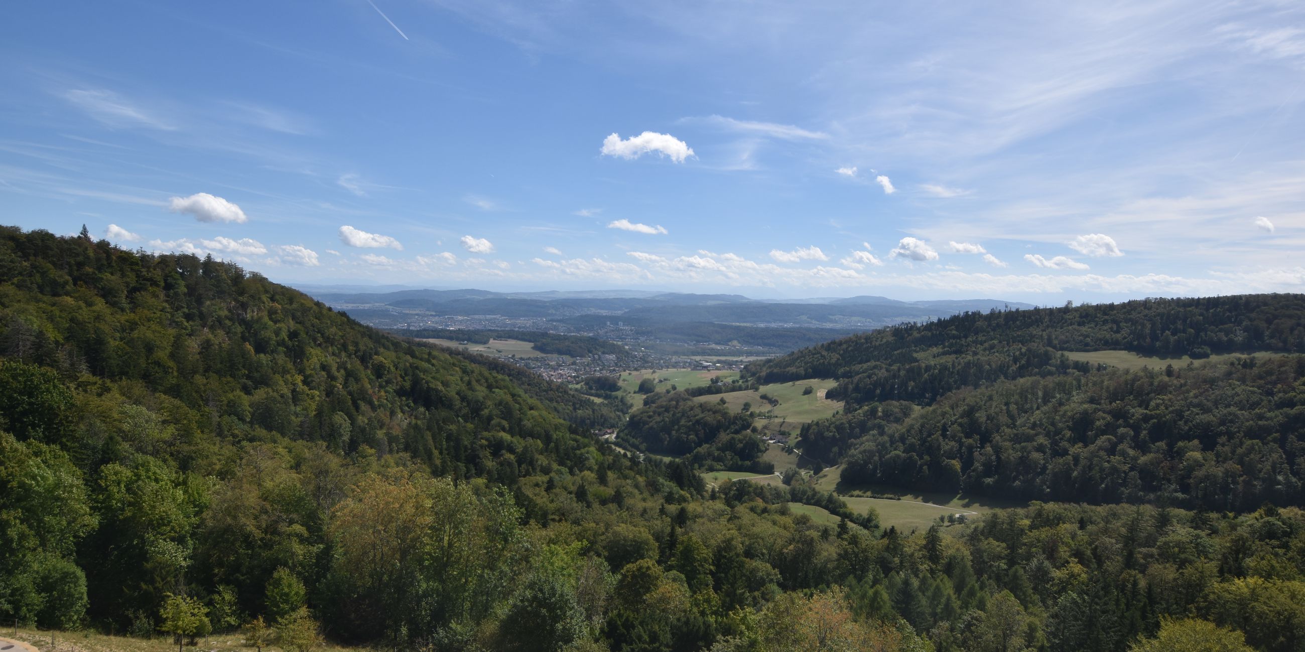 Erlinsbach › Süden: Barmelweid