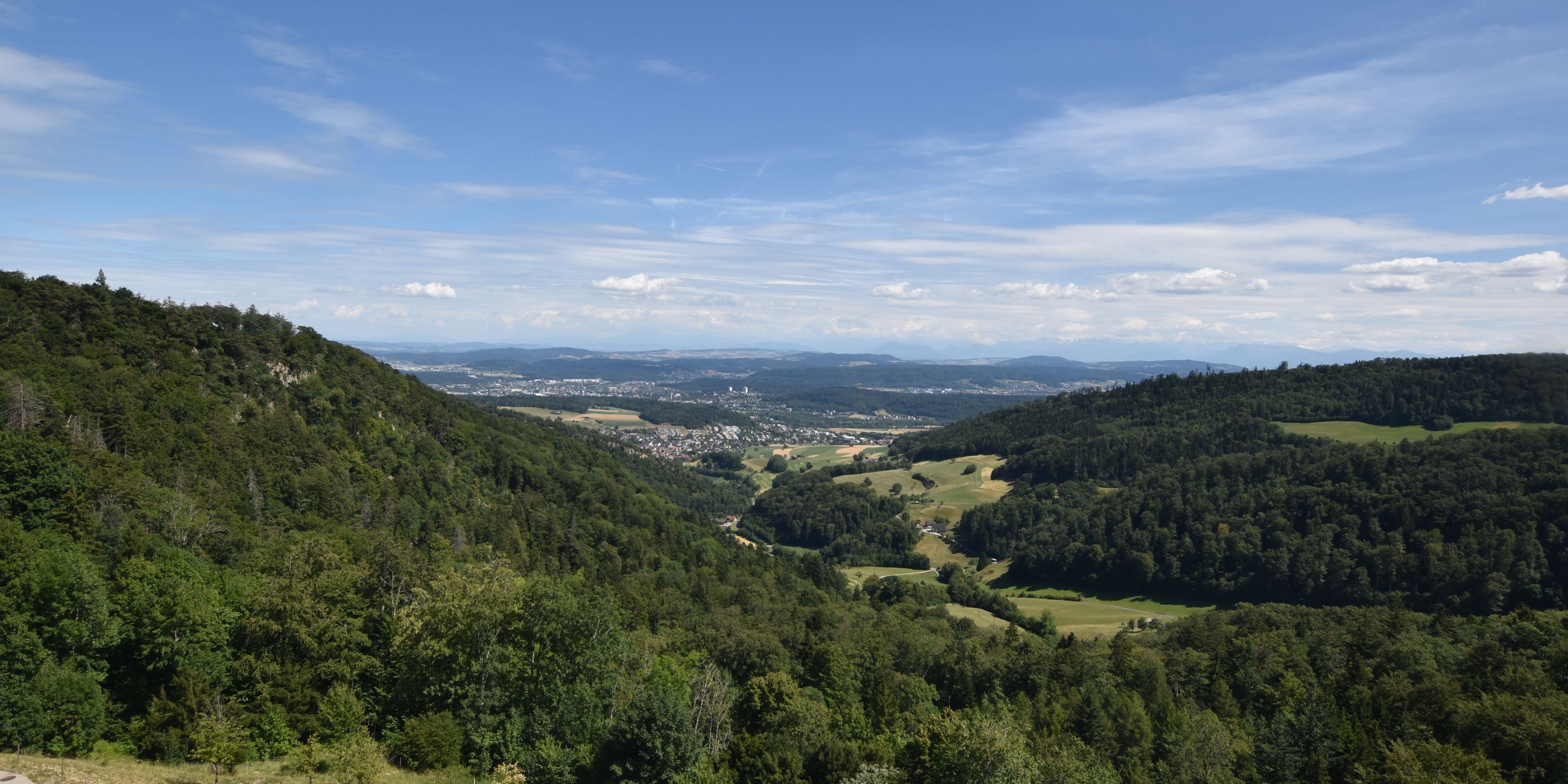 Erlinsbach › Süden: Barmelweid