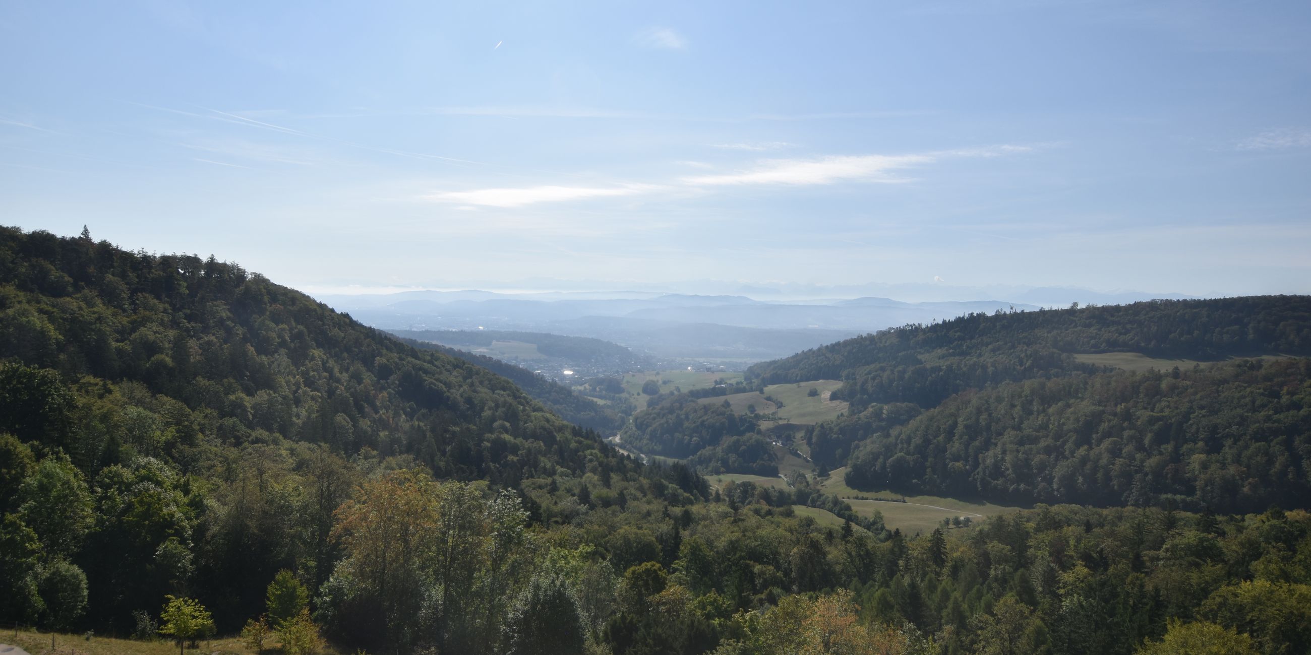 Erlinsbach › Süden: Barmelweid