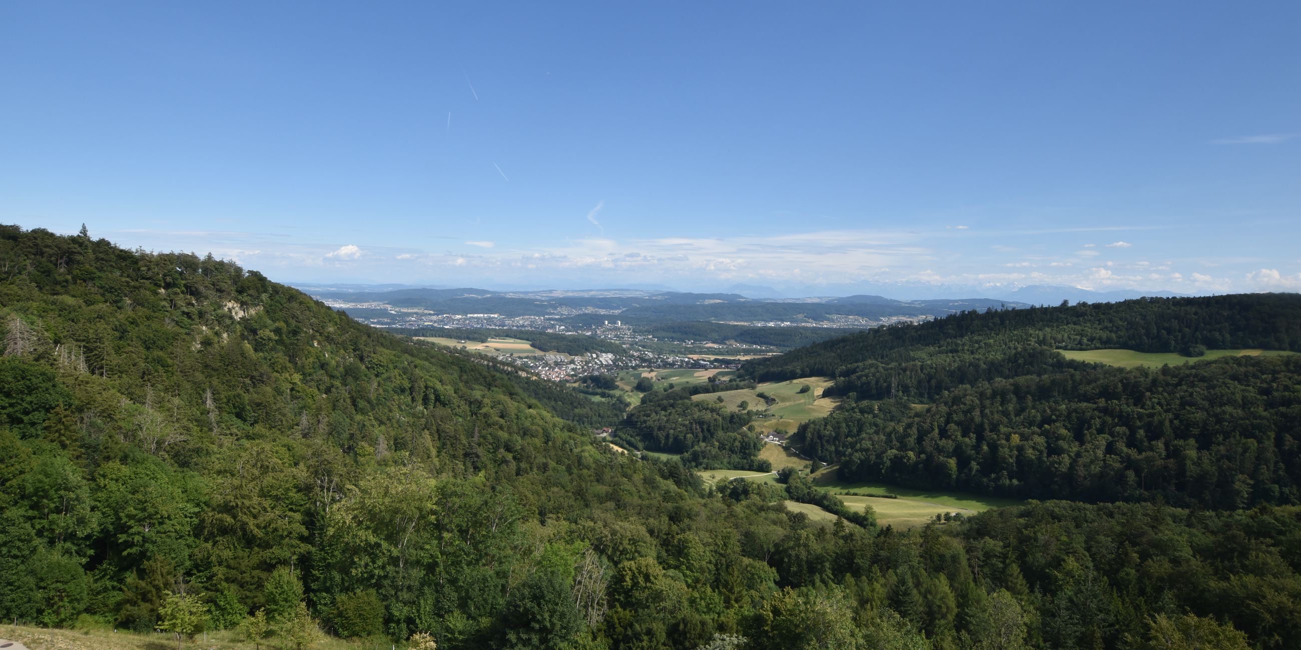 Erlinsbach › Süden: Barmelweid