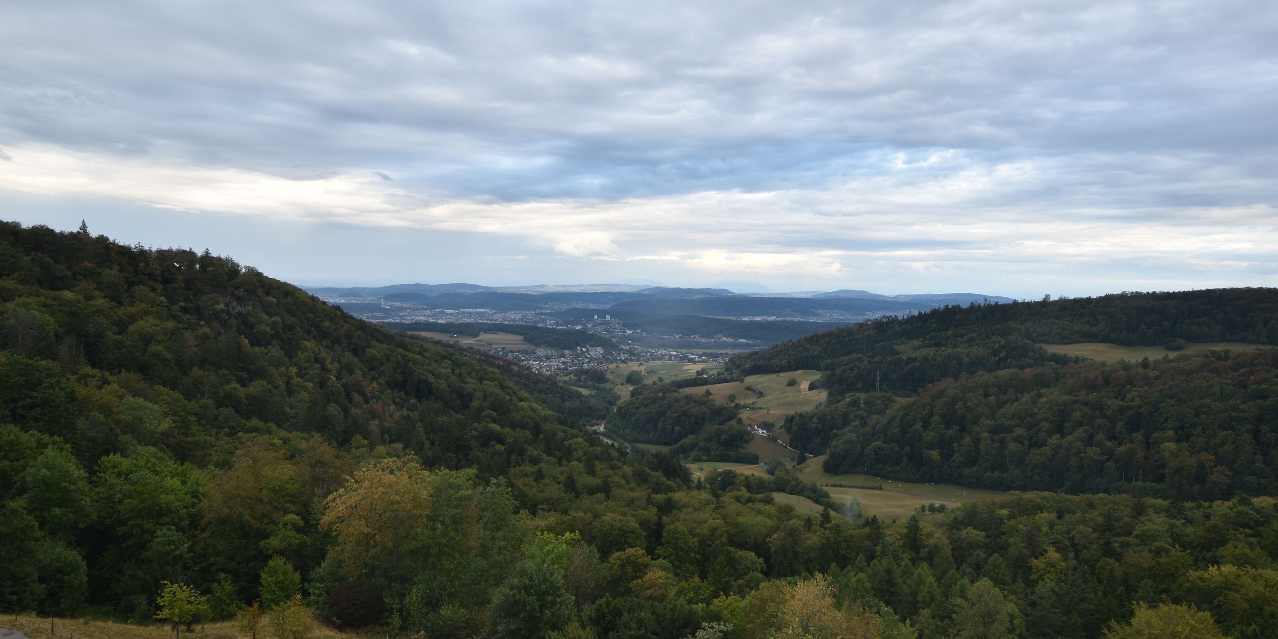 Erlinsbach › Süden: Barmelweid