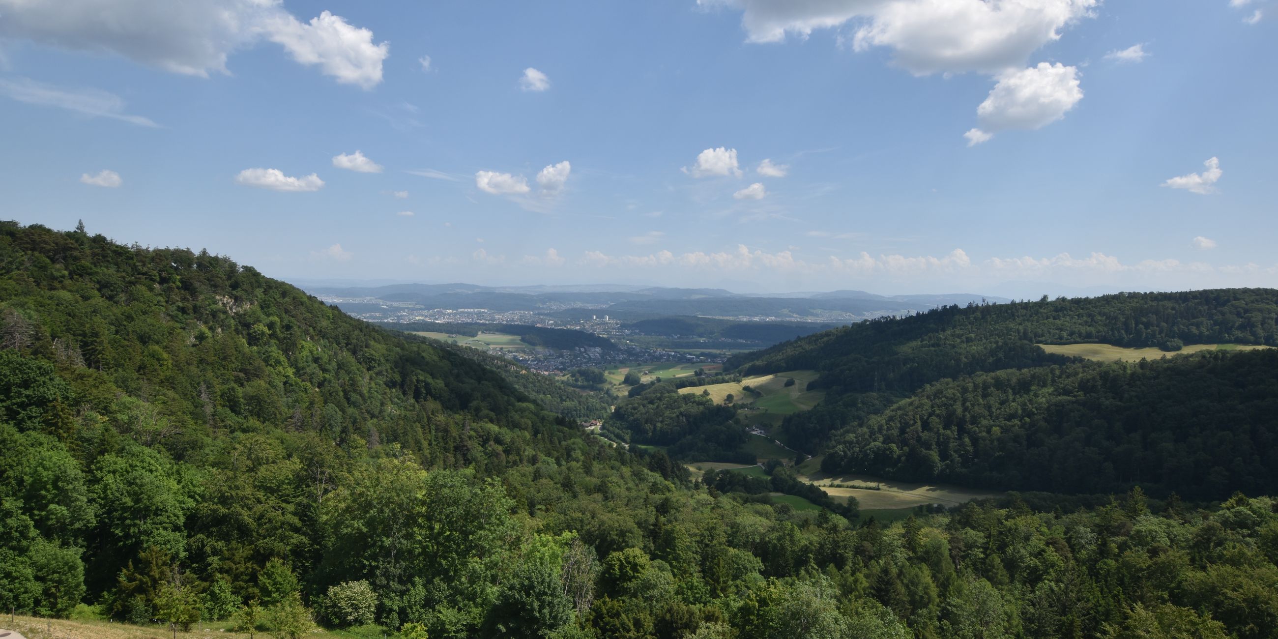 Erlinsbach › Süden: Barmelweid