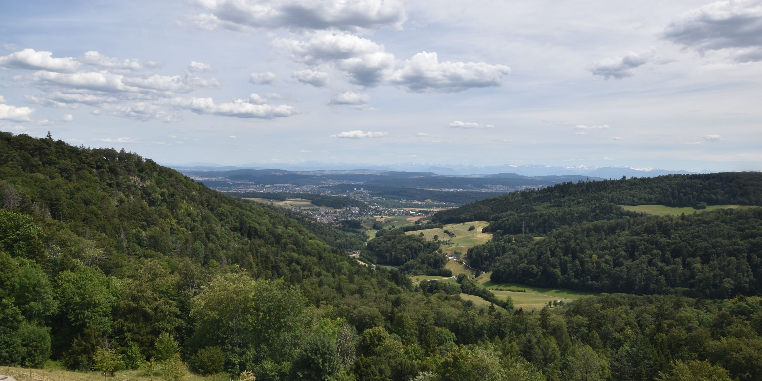 Erlinsbach › Süden: Barmelweid