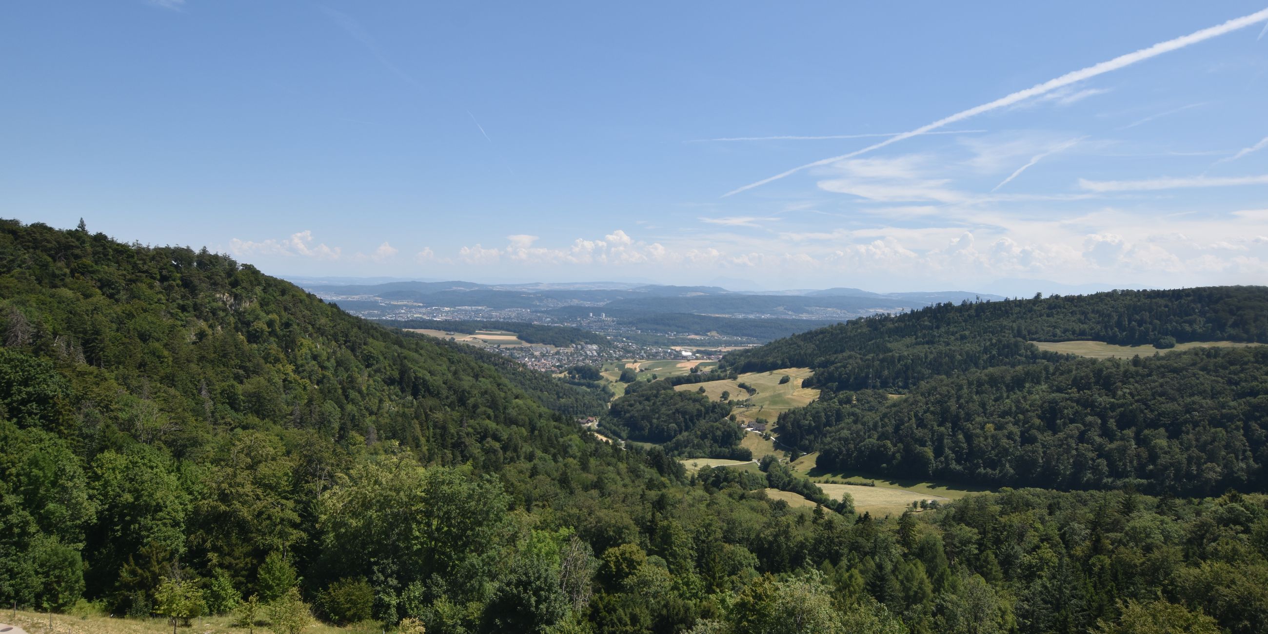 Erlinsbach › Süden: Barmelweid