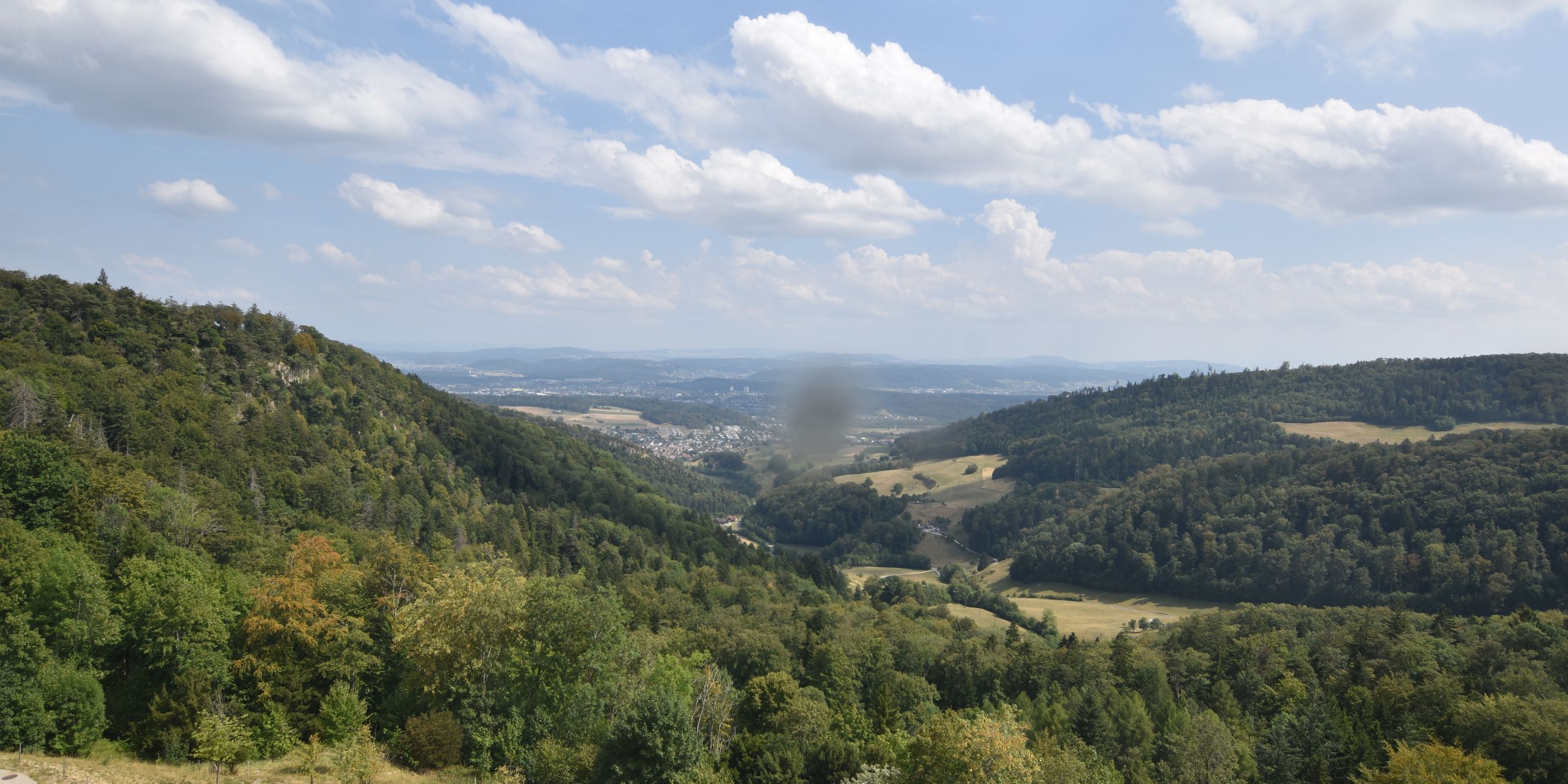 Erlinsbach › Süden: Barmelweid