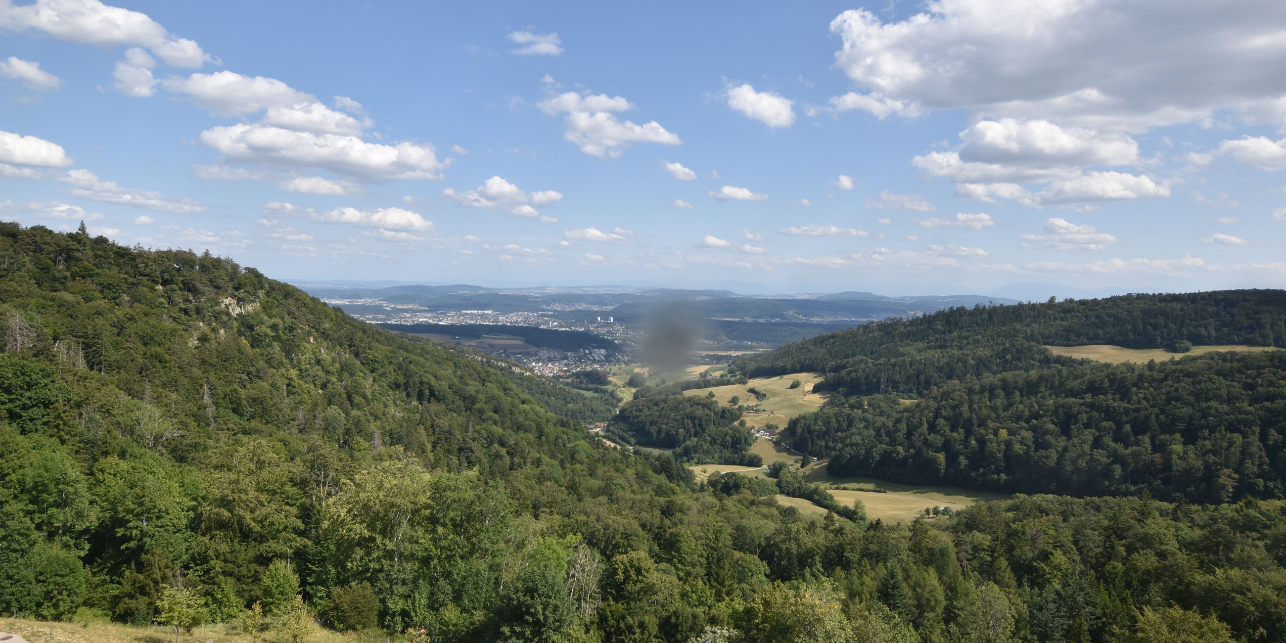 Erlinsbach › Süden: Barmelweid