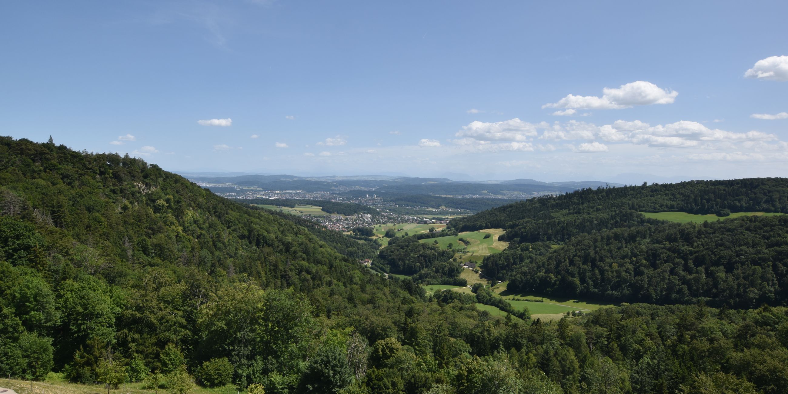 Erlinsbach › Süden: Barmelweid