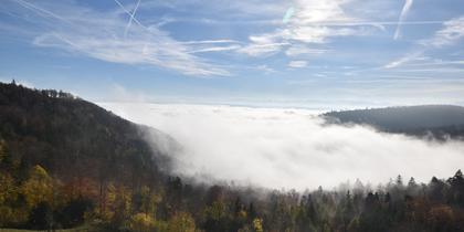 Erlinsbach › Süd: Barmelweid