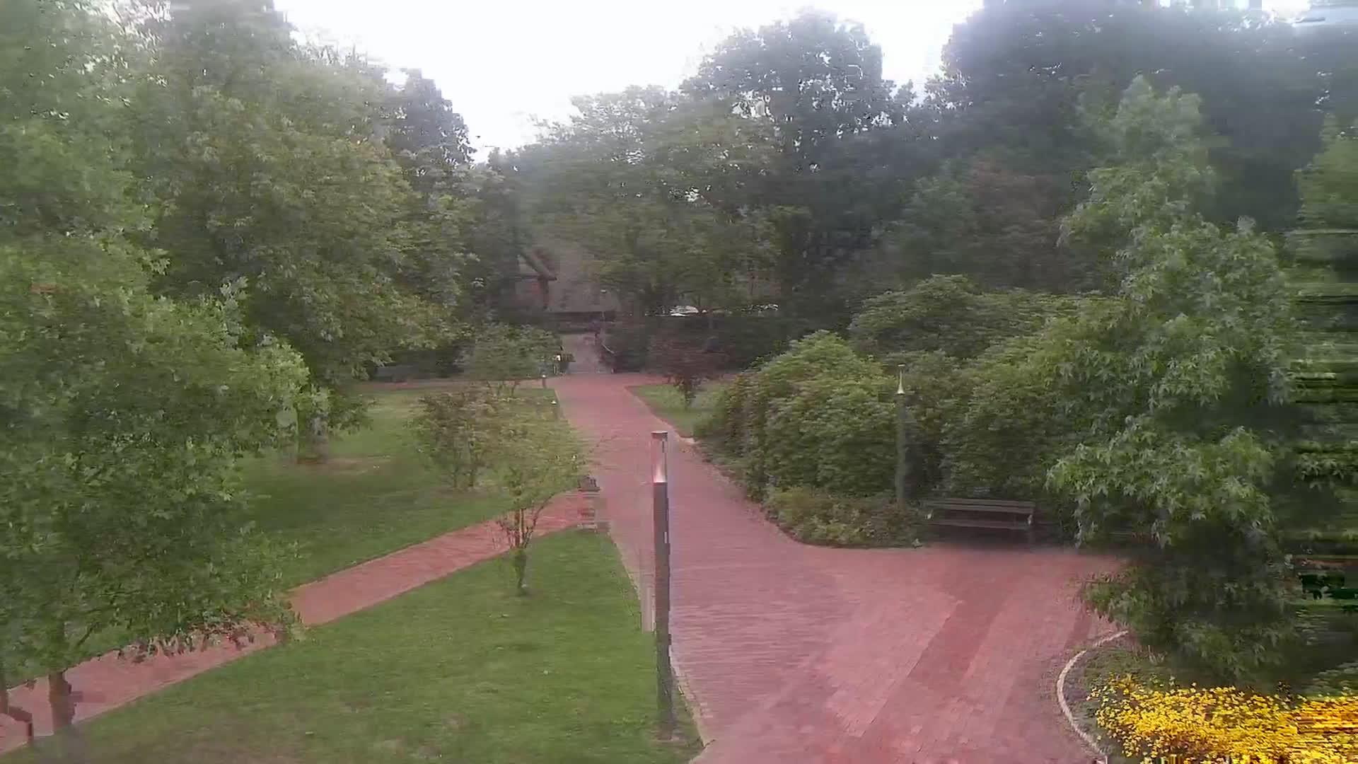 Aschhauserfeld landscape Webcam