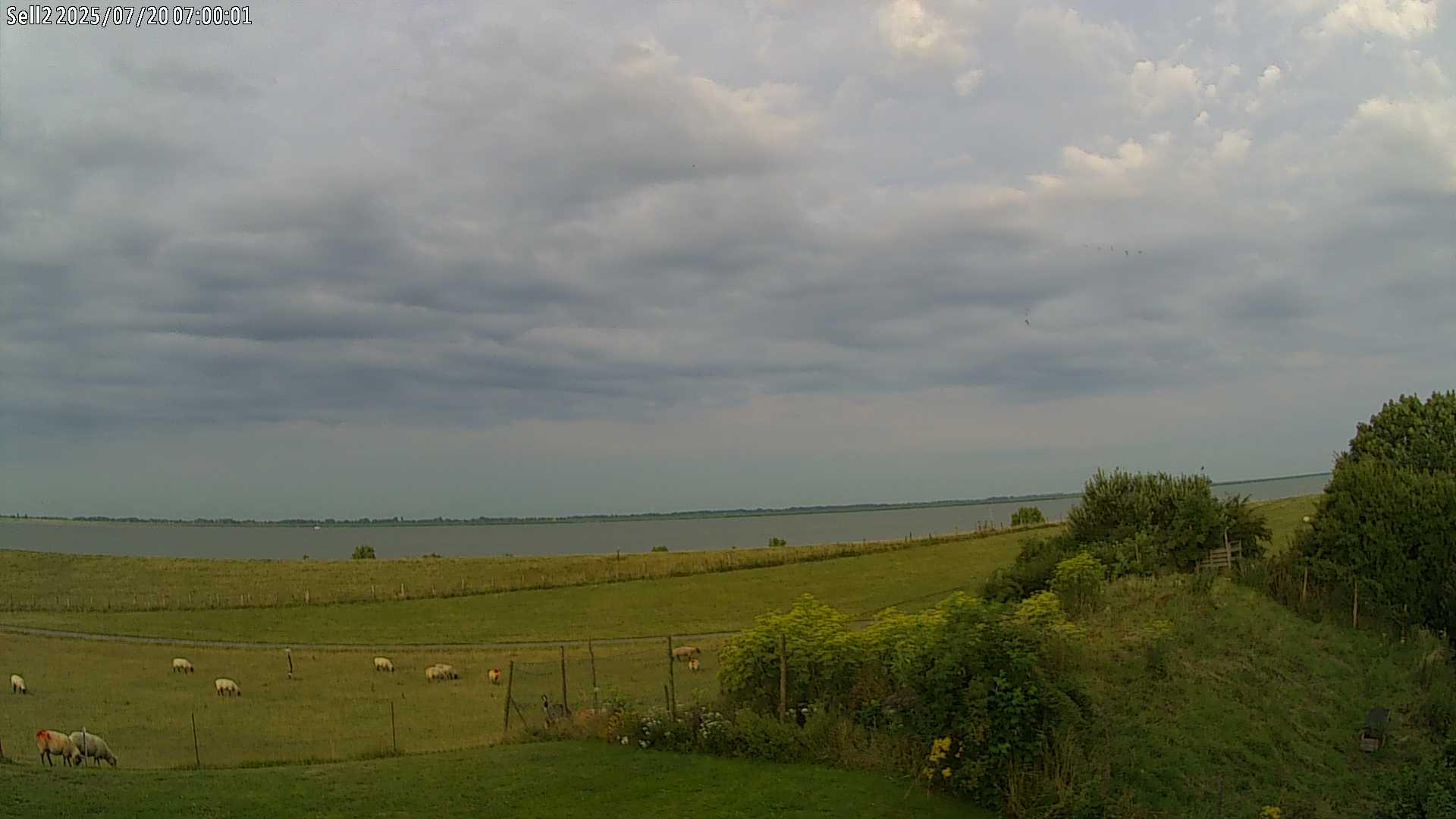 Rosskopp water Webcam