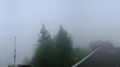 Rickenbach Sz webcam