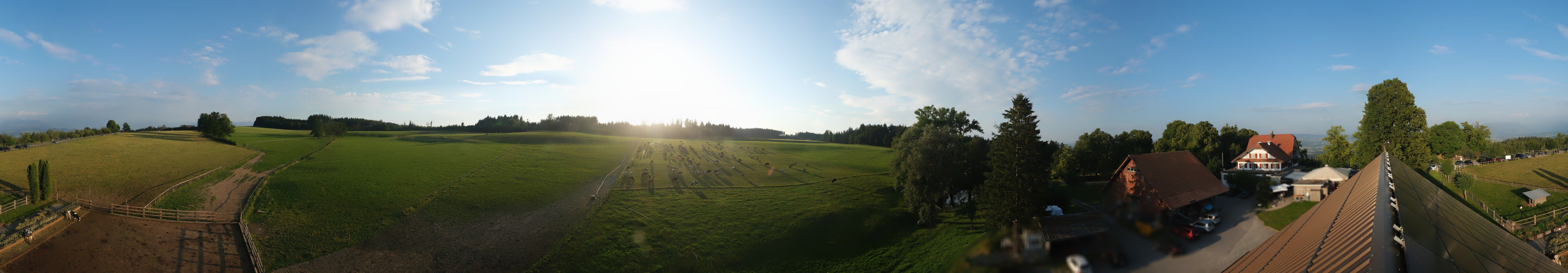 Beinwil: Horben: Langlaufloipe Lindenberg