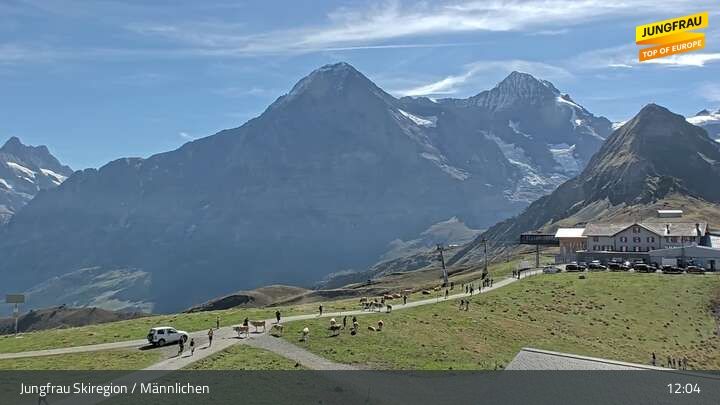 Wengen › Osten: Männlichen - Bergstation Sesselbahn Männlichen