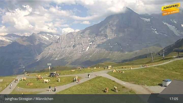 Wengen › Osten: Männlichen - Bergstation Sesselbahn Männlichen
