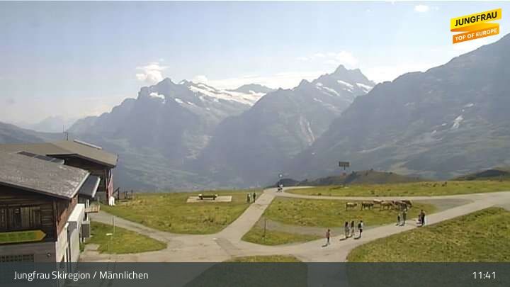 Wengen › Osten: Männlichen - Bergstation Sesselbahn Männlichen