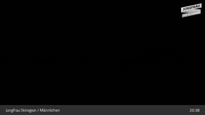 Wengen › Osten: Männlichen - Bergstation Sesselbahn Männlichen