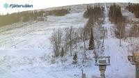 Foskdalsvallen: Fjätervålen - Live