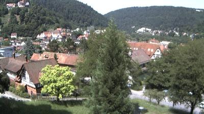 Beinberg landscape webcam