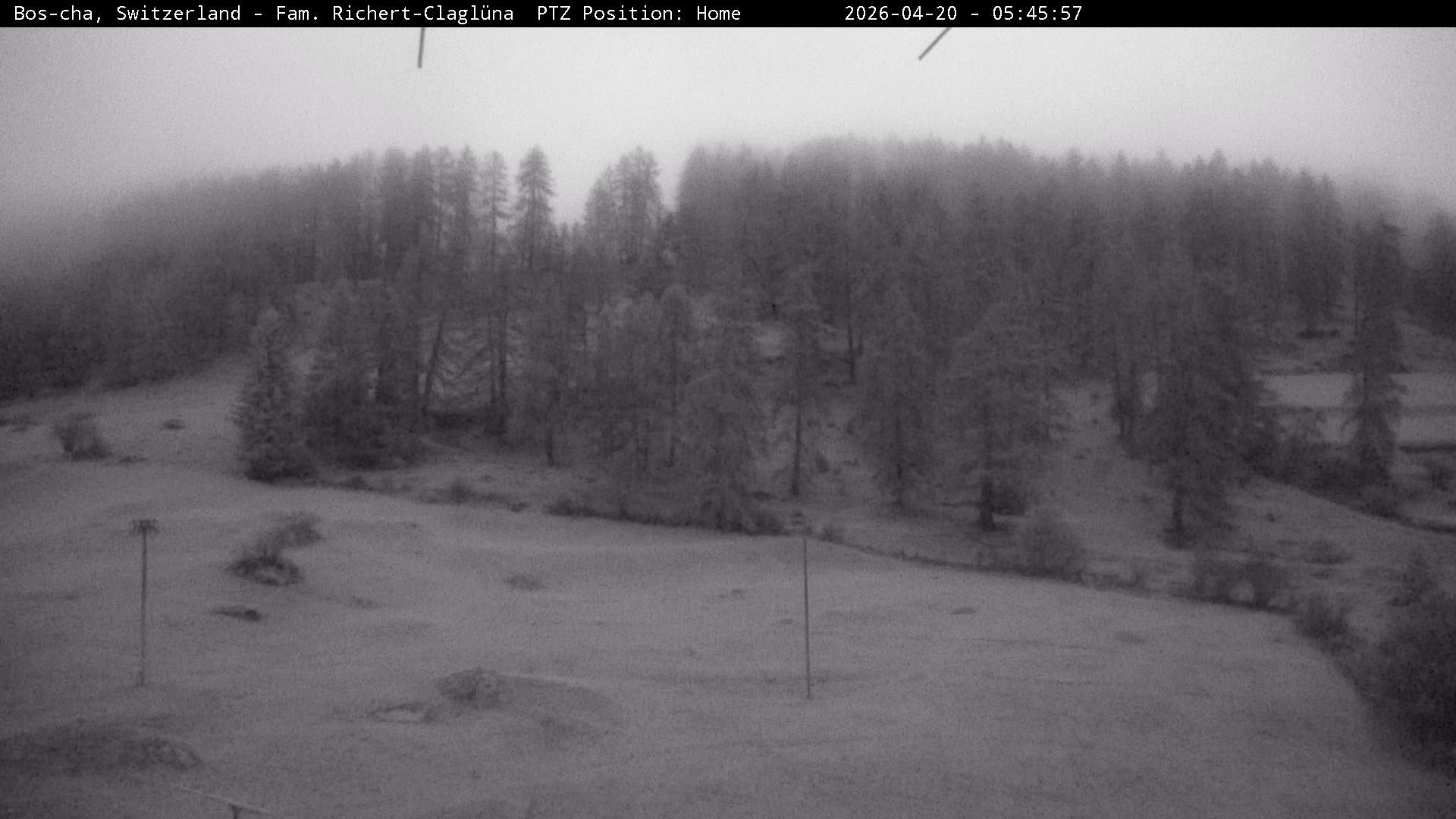 Bos-cha: Richtung Süden