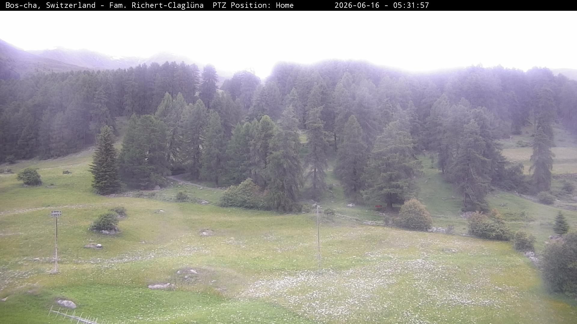 Bos-cha: Richtung Süden