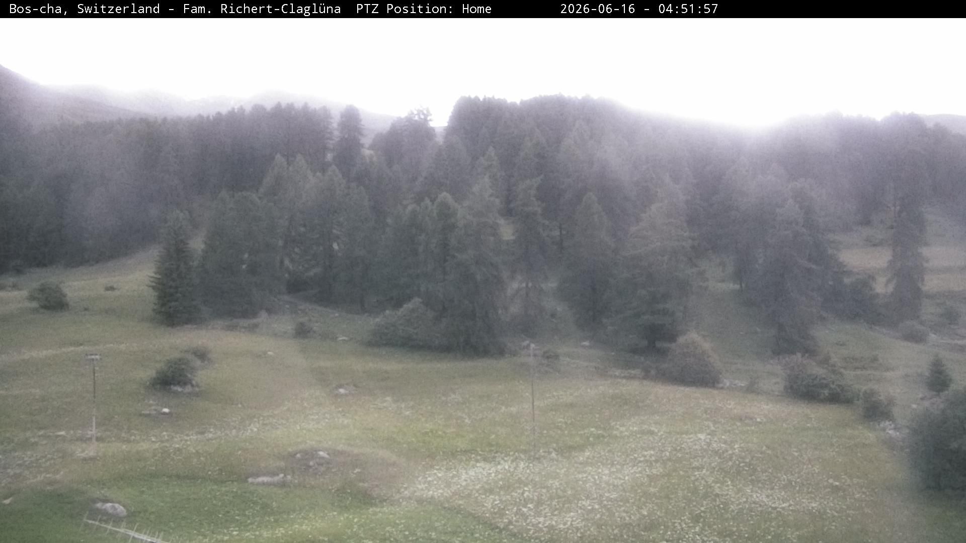 Bos-cha: Richtung Süden