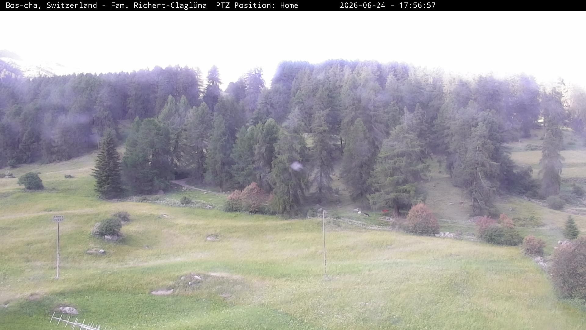 Bos-cha: Richtung Süden