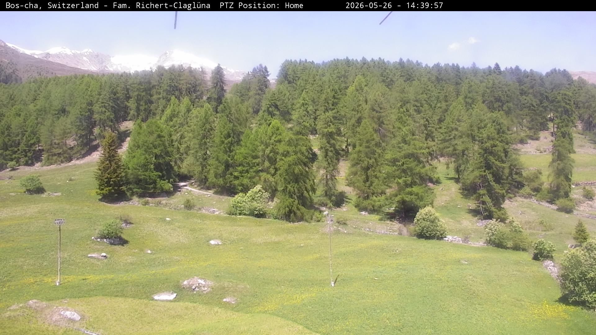 Bos-cha: Richtung Süden