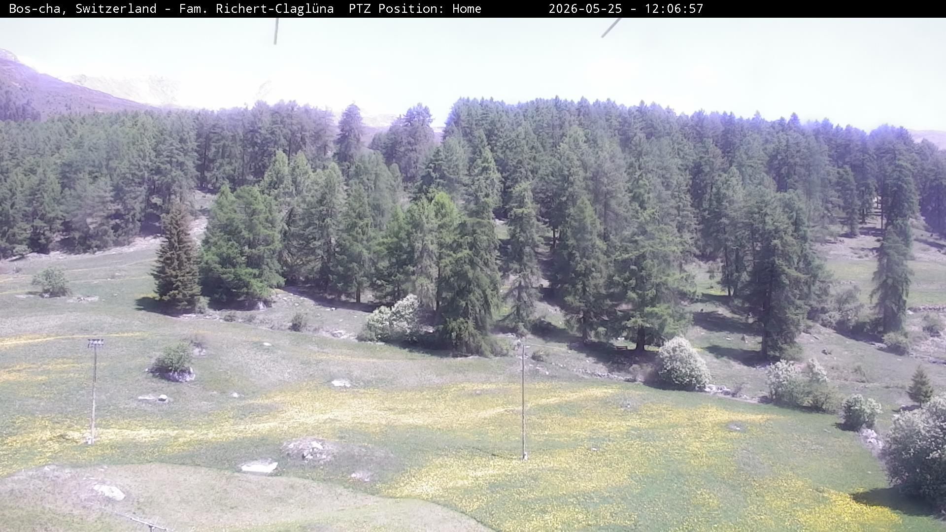 Bos-cha: Richtung Süden