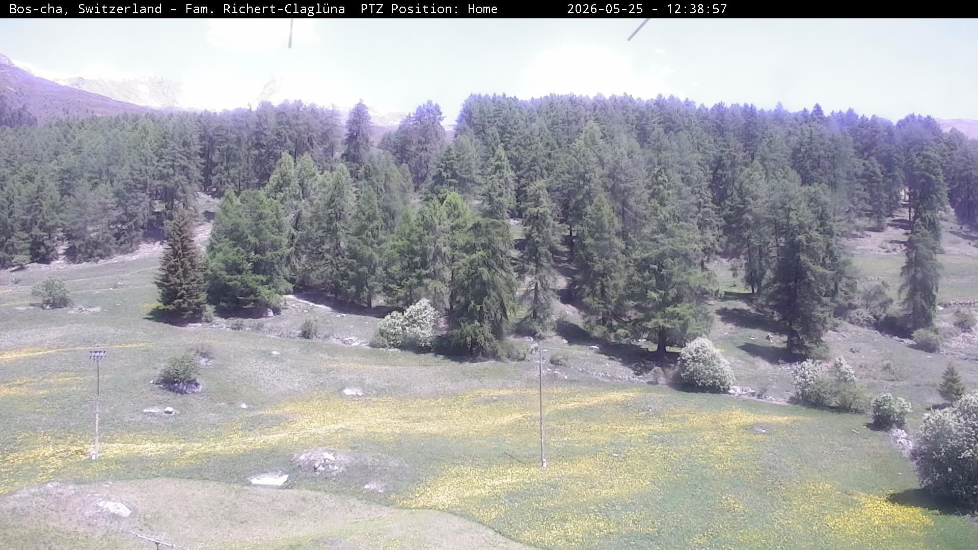 Bos-cha: Richtung Süden