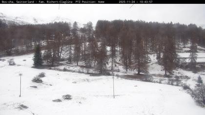 Bos-cha: Richtung Süden