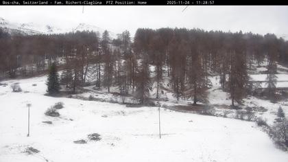 Bos-cha: Richtung Süden