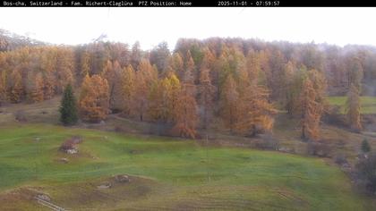 Bos-cha: Richtung Süden