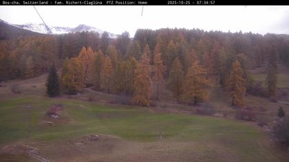 Bos-cha: Richtung Süden