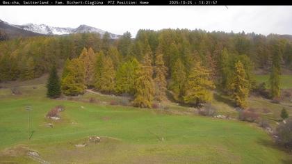 Bos-cha: Richtung Süden