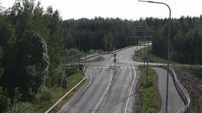 Janakkala Forest and Road